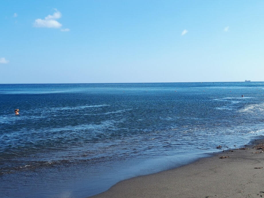 BLACK-SAND BEACH